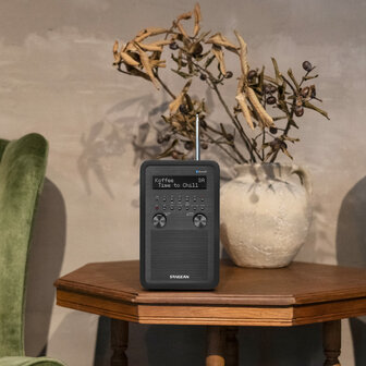 Sangean DDR-60BT DAB+/FM-RDS digitale stereo radio zwart met bluetooth