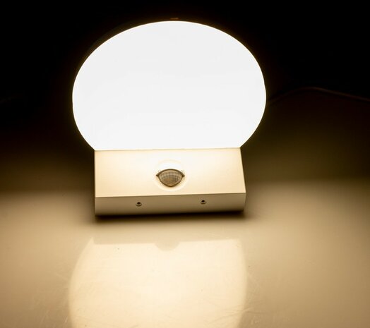 Chilitec wandlamp met bewegingssensor warm wit licht IP65 15W voor binnen en buiten