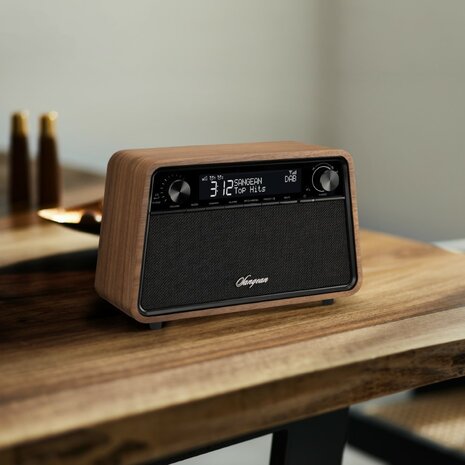 Sangean WR-201D DAB+/FM vintage walnoot houten kast premium radio