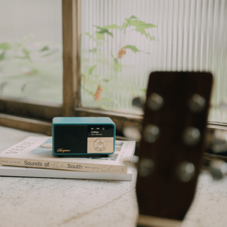 Sangean DDR-7X Green DAB+/FM-RDS oplaadbare mini radio groen met bluetooth en aux