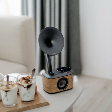 Sangean CP-100D Gramophone FM/DAB+ retro radio Lightwood-Grey met bluetooth en aux