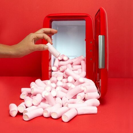 Balvi mini fridge English Red 6 liter